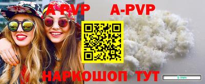 крисы Гагарин