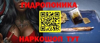 крисы Гагарин